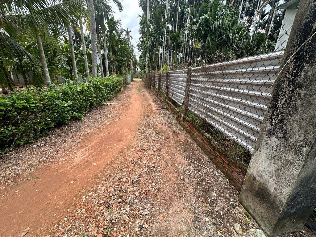 Chính chủ bán 215,7m² đất Võ Xu, 80m² thổ cư, sổ riêng, bao sang tên