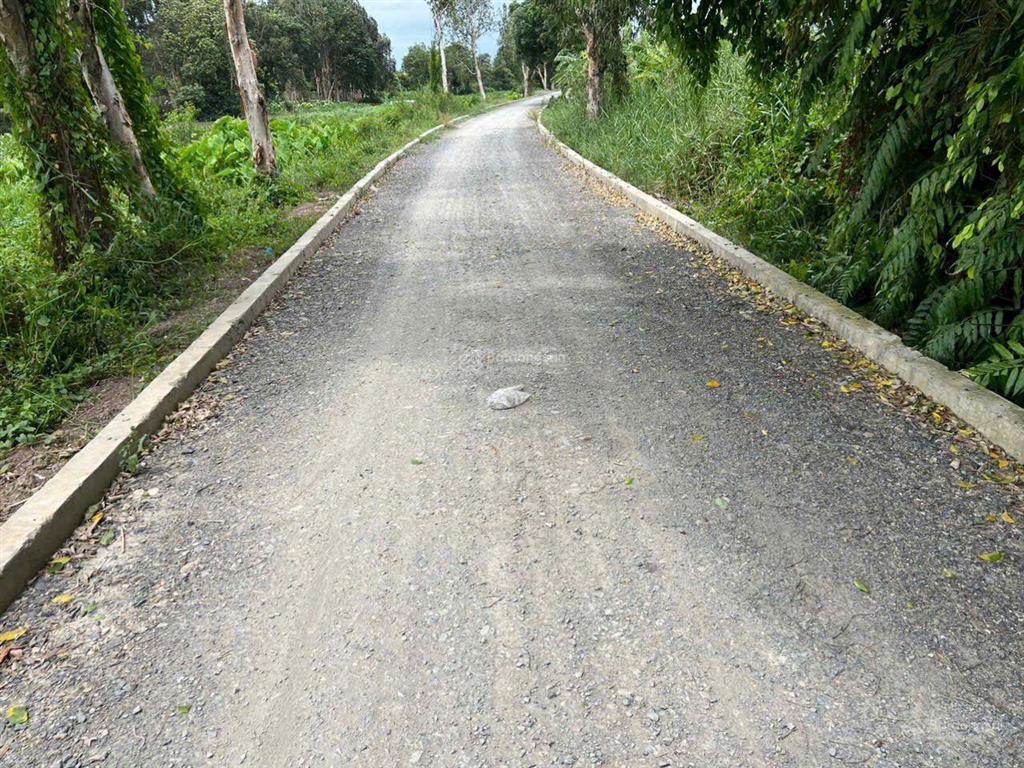 Bán đất xã đông thạnh, huyện hóc môn, tp.hcm