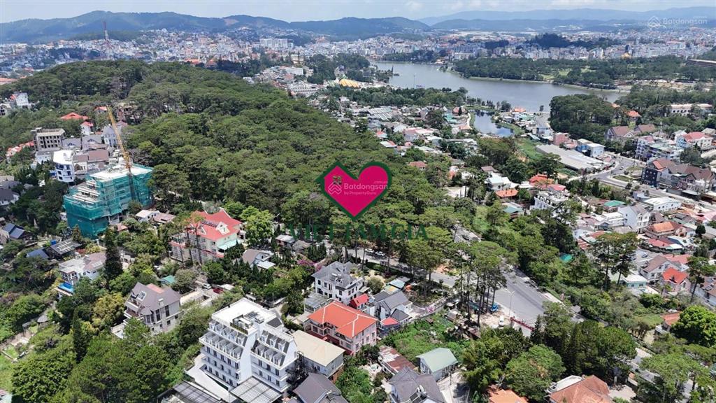 Bán đất mt lê văn tám phường xuân hương đà lạt view thông vĩnh viễn