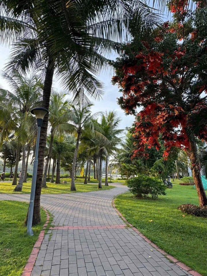 Bán nhà 4 tầng mặt đường đôi 22m Ecopark, ph Hải Tân, TP HD, 95m2, mt 5m, full nội thất