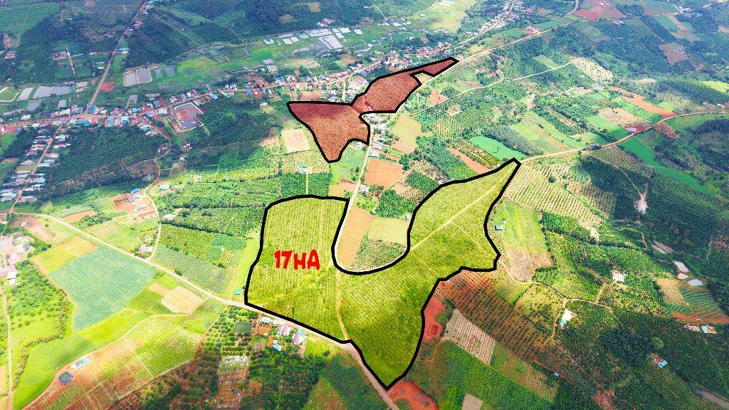 34ha sổ đủ ngay trung tâm Tuy Đức giá rẻ đường nhựa
