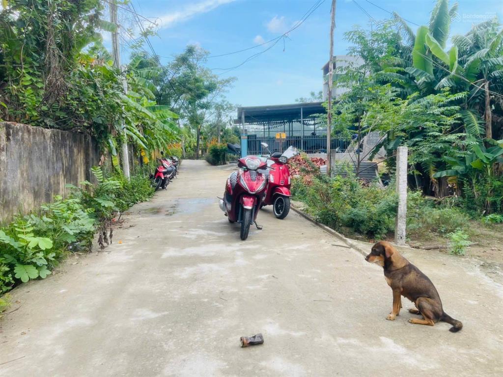 Bán lô đất đẹp tại dương sơn hòa xuân gần nam kỳ khởi nghĩa ô tô chạy vi vu