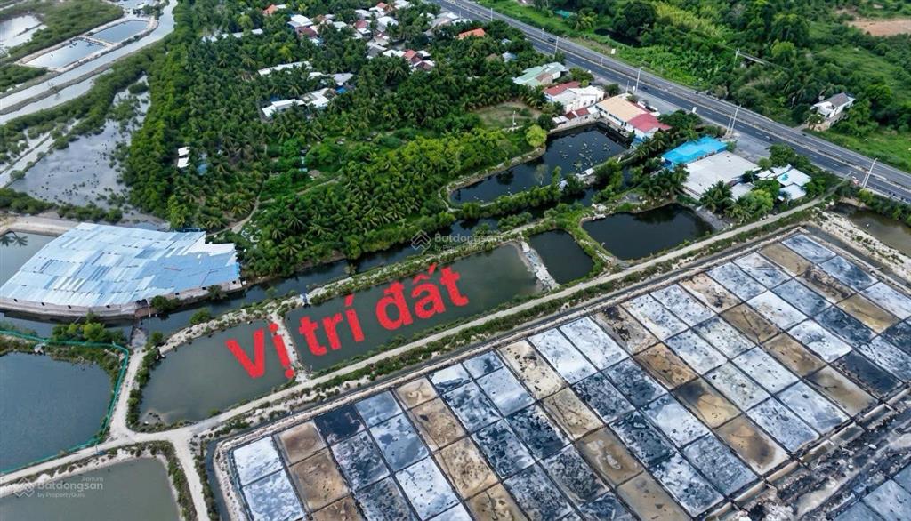 Siêu phẩm đất tân đảo, ninh ích, ninh hòa, dt 160m2, mt 5m. giá chỉ 350tr