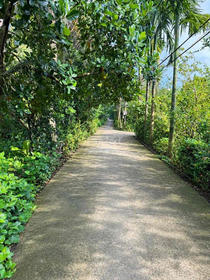 Bán Đất Thị Xã Cai Lậy