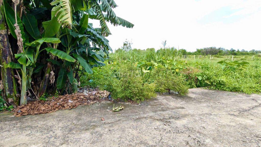 Đất nền SHR 2/Trung Đông 12-Thới Tam Thôn-Hóc Môn.Dt 5x20~101m2. 2,2ty