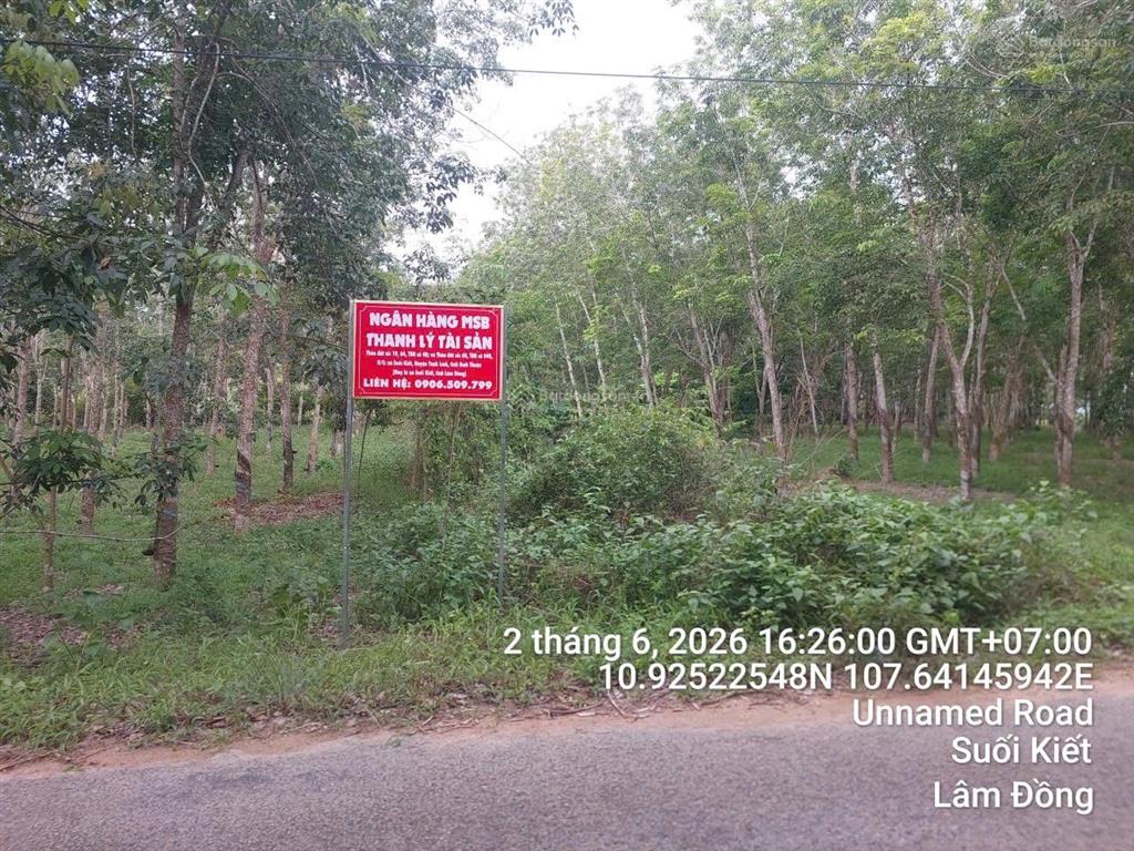 Công ty đấu giá hợp danh sao việt