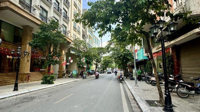 Bán nhà mặt phố phó đức chính, ba đình, ô chờ thang máy, 101m2 x 5 t, giá 75 tỷ
