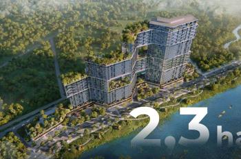 Ngân dương ecopark chuyển nhượng sky forest residences ecopark 2 pn full nội thất giá siêu rẻ