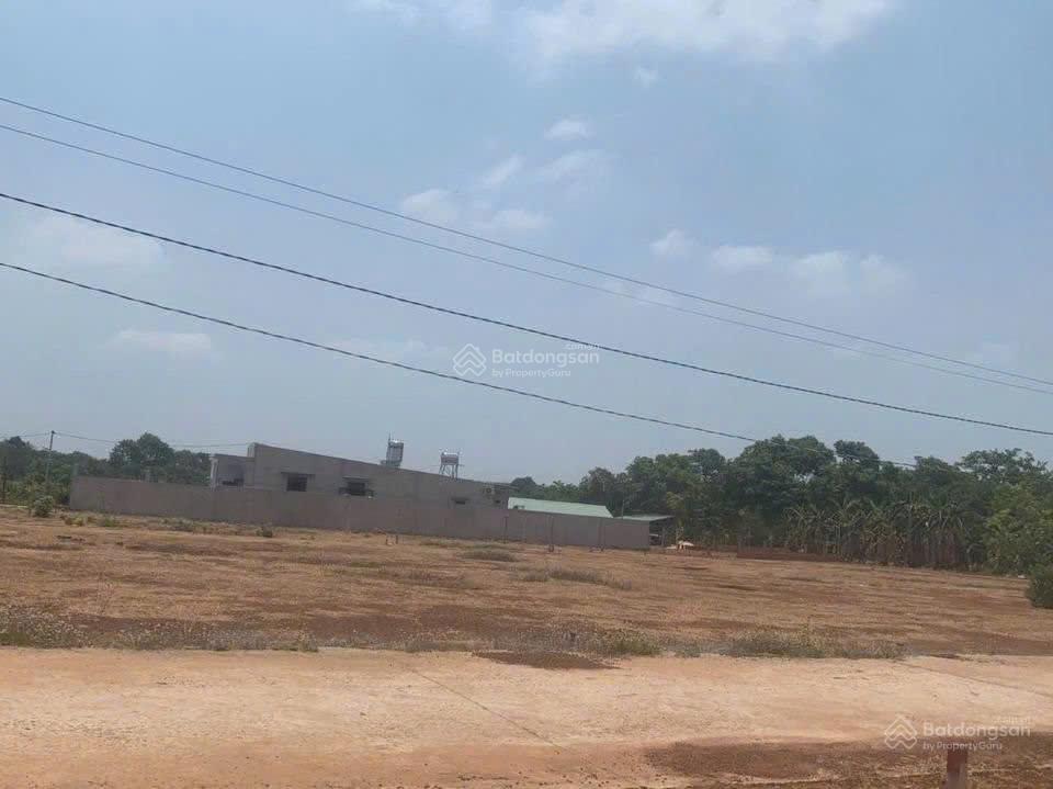 Bán đất tại đường lò rèn, long hòa, 915m2, giá tốt chỉ 6tr/m2, view đẹp