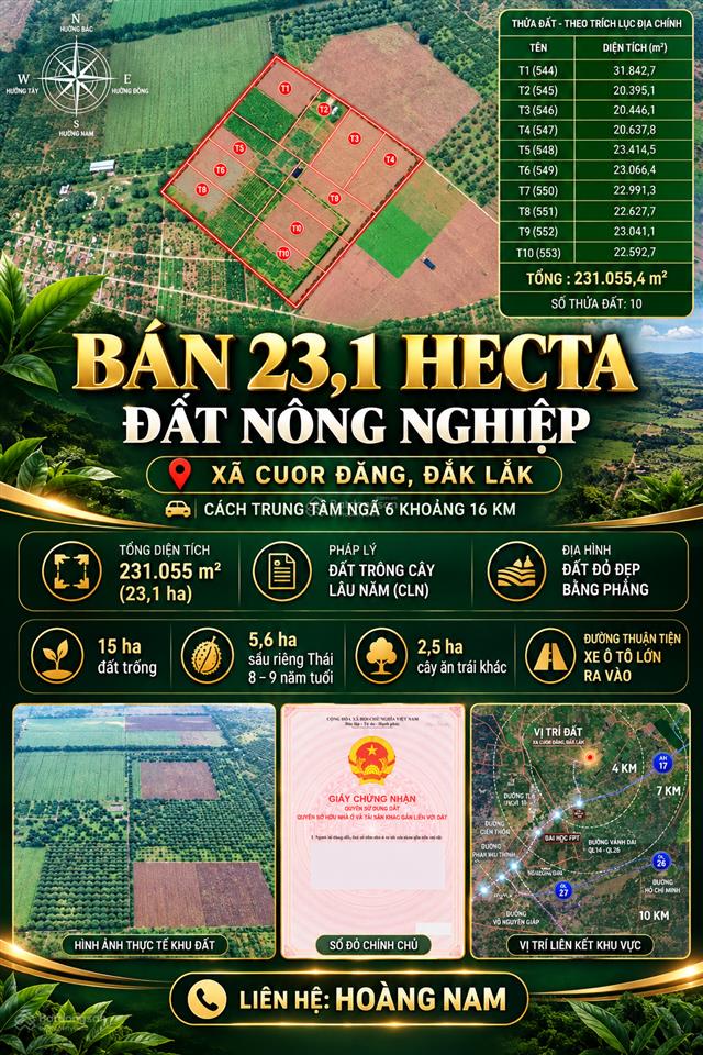Bán 23,1 hecta đất nông nghiệp quy mô lớn