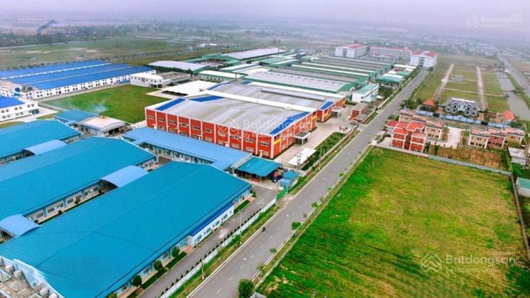 Cụm kim thái 5000m² nam định cũ. tổng cụm chia nhỏ theo nhu cầu