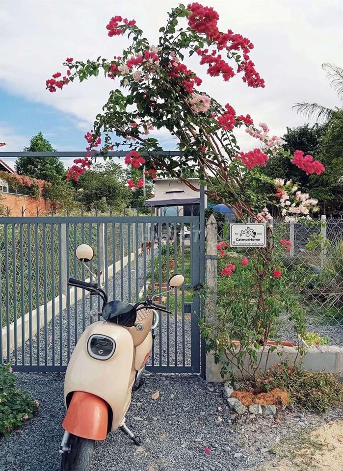 BÁN ĐẤT THỔ CƯ tặng NHÀ VƯỜN