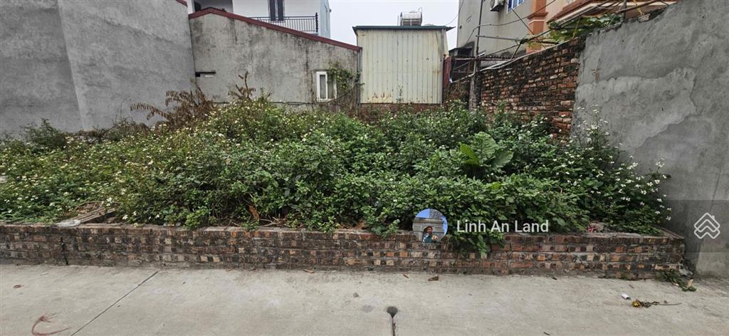 Đất đẹp 52m2 đức hậu, thanh lâm sát trục, đường 4m ô tô vào đất thoải mái