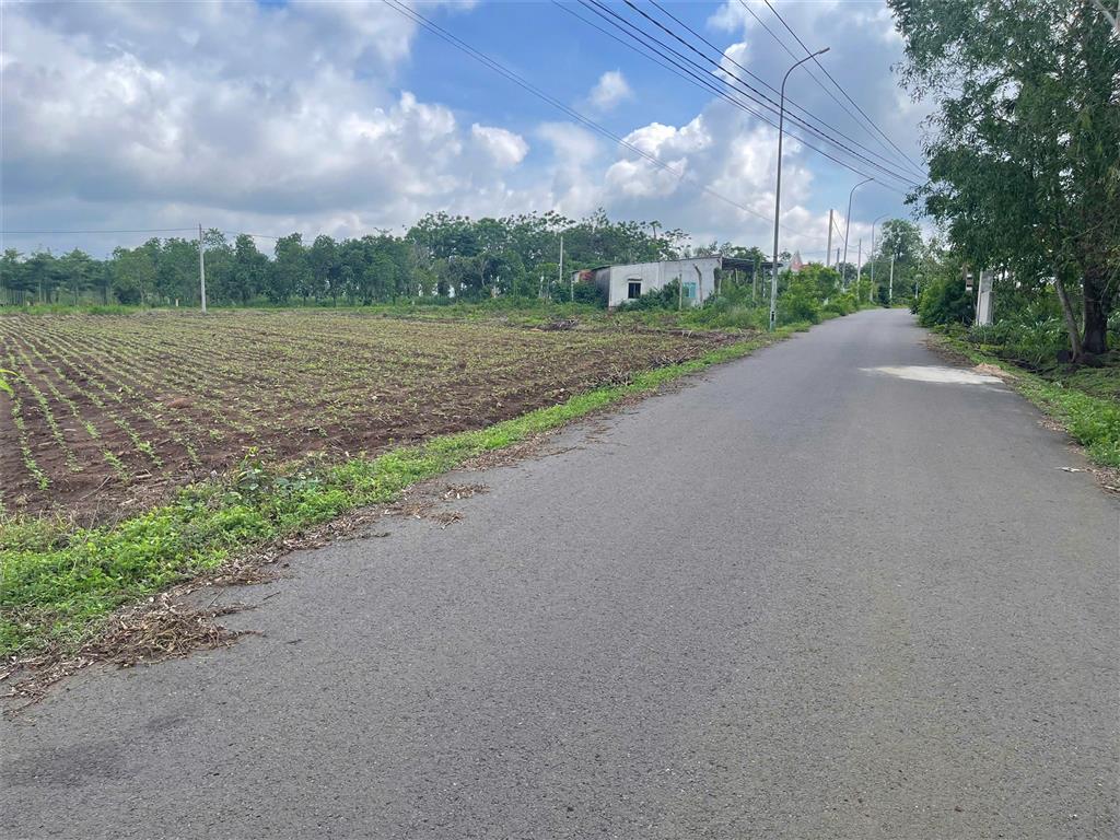 Bán lô Đất Vị Trí Đắc Địa Tại Bình Ba - Đá Bạc , Châu Đức, Bà Rịa Vũng Tàu