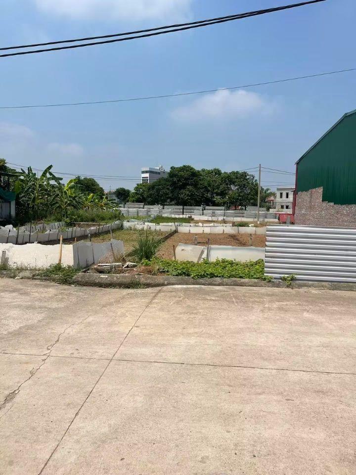 Bán đất KĐT Đình Tổ Thuận Thành 81m2 đối diện vườn hoa, trung tâm, nhỉnh 3 tỷ