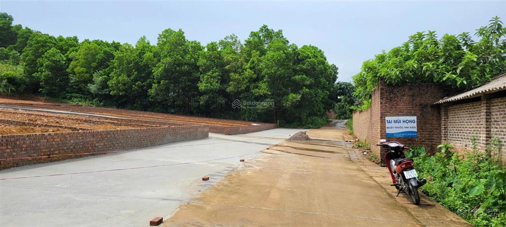 Bán đất đô lương trung giã, đường thông 8m, gần hồ, 146m, mt 5m, 1,25 tỷ, 50m ra đường