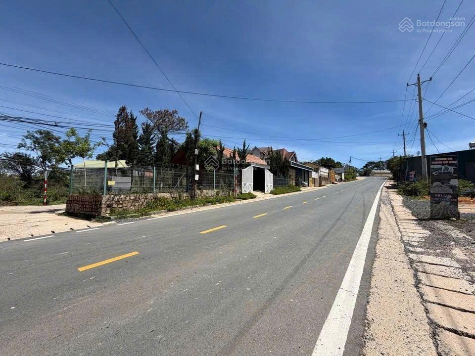 Đất đẹp, view rừng thông mặt tiền đường chính cam ly. dt 700m2. giá 10,9 tỷ