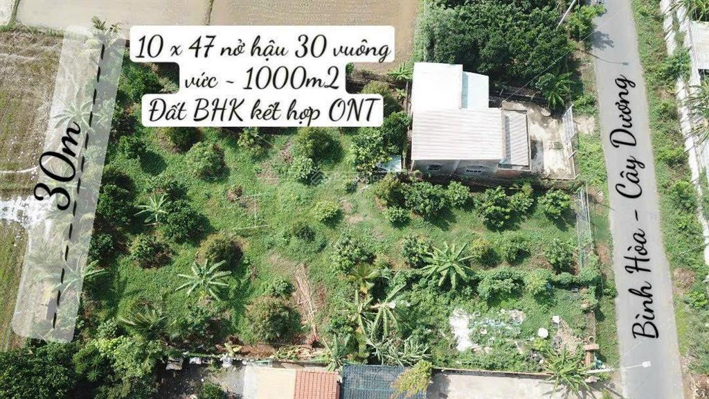 Bán 1000m2 mt bình hoà cây dương giá 4,5 tỷ shr view sông đồng nai đường rộng thoáng làm nhà vườn