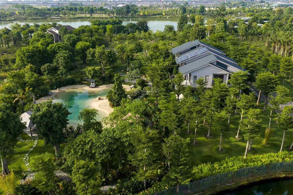 Biệt thự rừng eco giá 14 tỷ 2, 220m2, ngân hàng hỗ trợ 70%, miễn gốc lãi 24 tháng