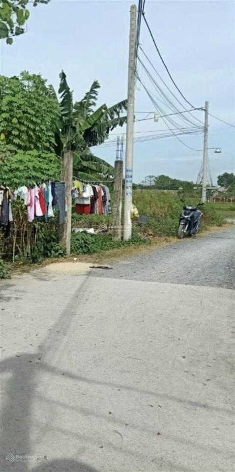 Đất bán thổ cư đường nguyễn thị sưa, vĩnh lộc a, bình chánh 8 x 26m, gần nữ dân công