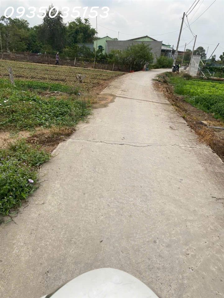 Cần tiền bán gấp lô đất thổ cư 80m2 tại Ấp Lộc Hậu, Mỹ Lộc, Tây Ninh, giá 580 triệu