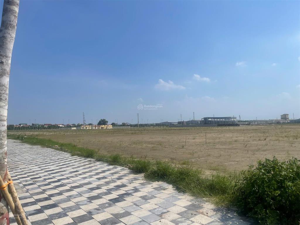 Bán gấp 6.000m² đất cụm cn vân du quang vinh, ân thi, hưng yên hạ tầng đẹp,miễn thuê đất đến 2038!