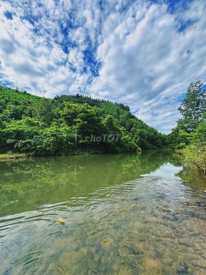 🌿 CẦN BÁN GẤP FARMSTAY SINH THÁI
