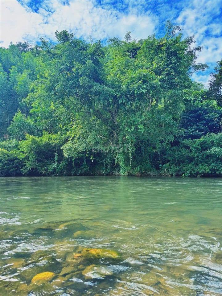 🌿 CẦN BÁN GẤP FARMSTAY SINH THÁI