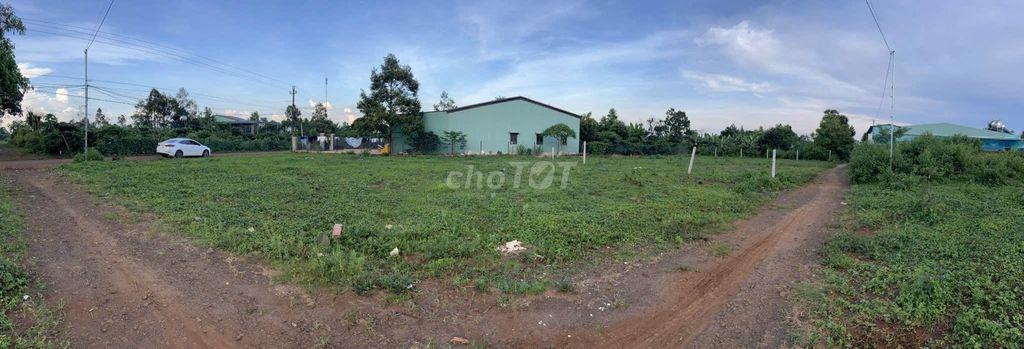 ĐẤT HẺM NGUYỄN KIỆM 12*21