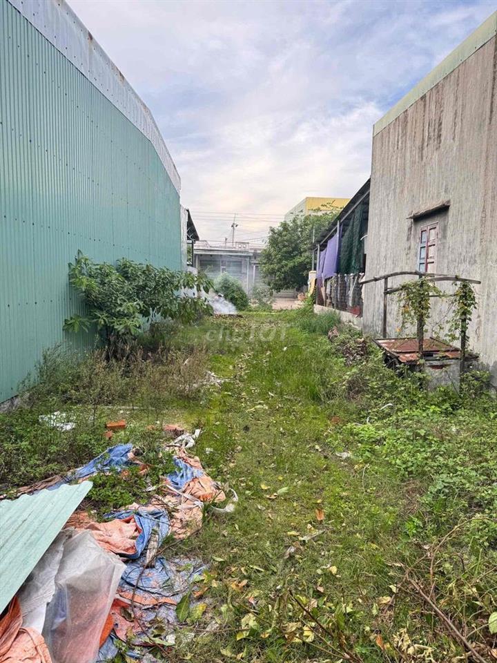 🔥🏡 BÁN ĐẤT MẶT TIỀN GẦN QUY NHƠN – VỊ TRÍ KINH DOANH ĐẮC ĐỊA – CHỈ 1,7