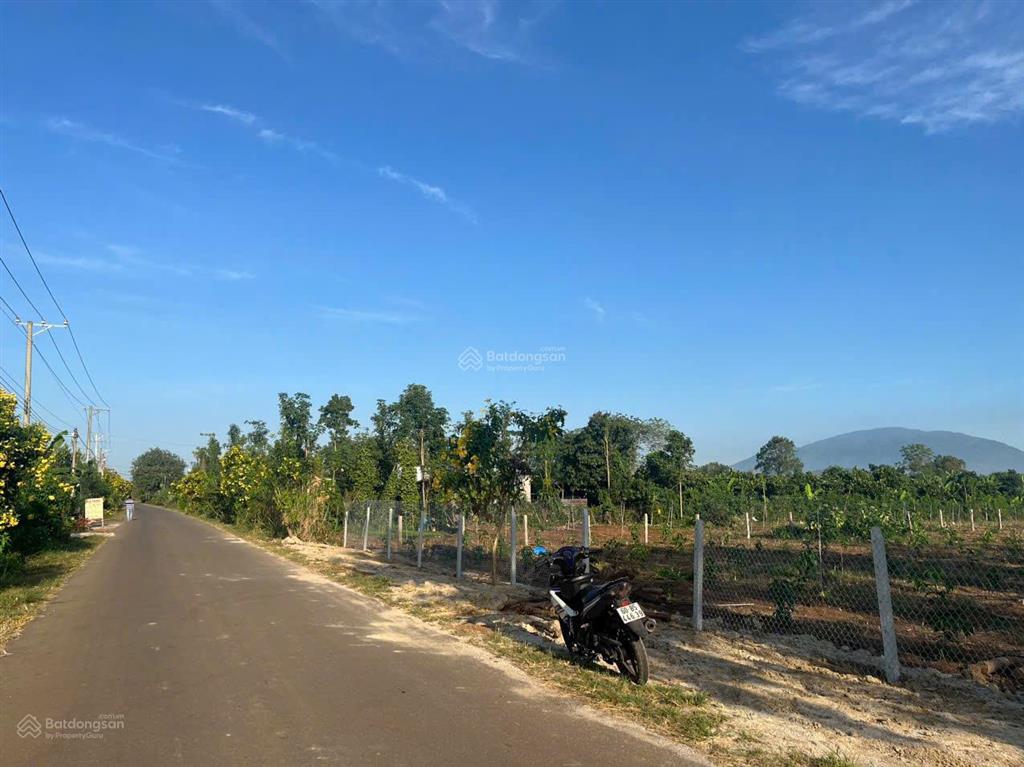 Bán 1000m2 phủ hồng ngang 12m dài 83m mặt tiền đường nhựa. xuân phú, đồng nai, gần dt773 và dt765