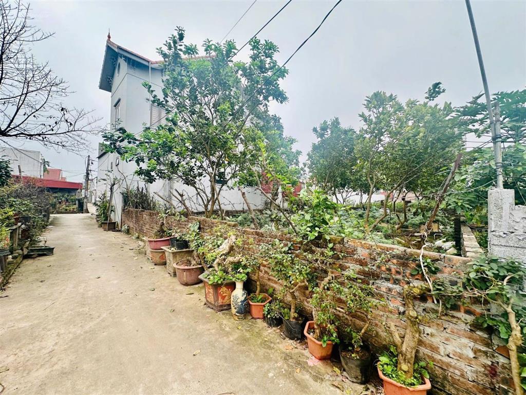 Chính chủ bán 50m2 tại liên nghĩa, vĩnh tuy, văn giang 2,5 tỷ