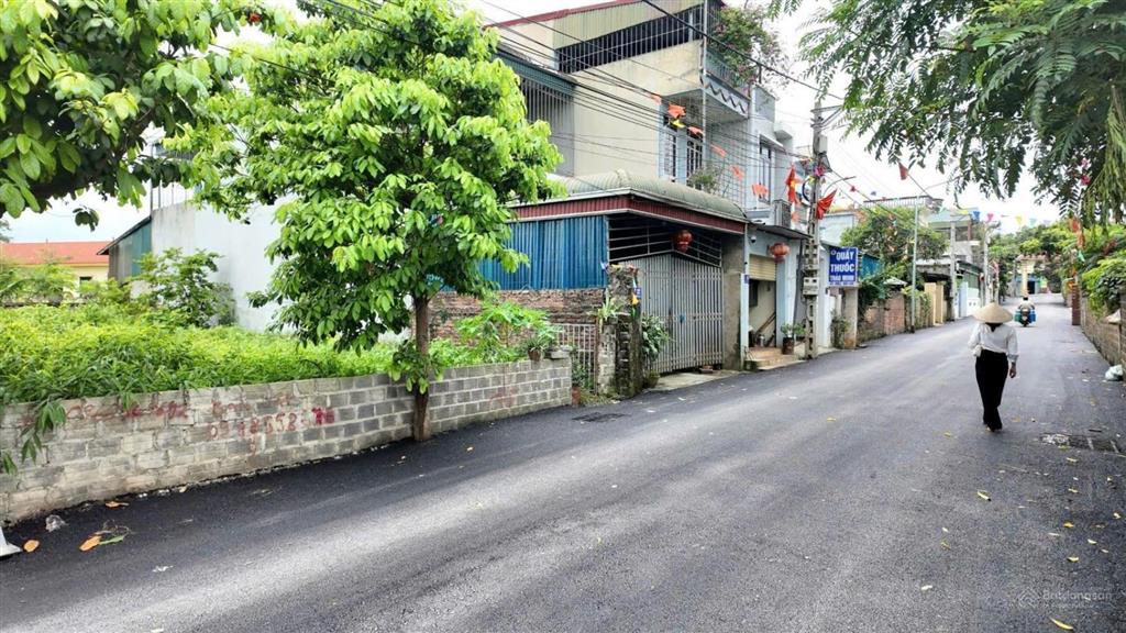 219m full thổ cư trục chính đồng vàng, phú mãn. (phú cát, tp hà nội)