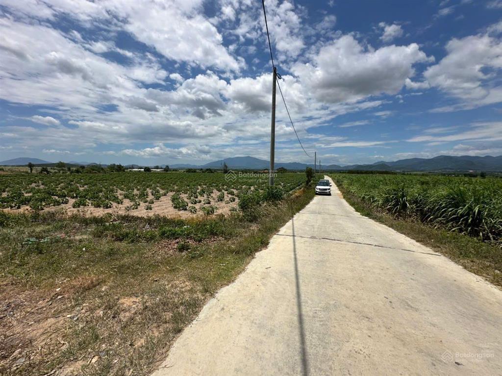 Cần bán 4ha thôn suối sim, tây ninh hòa