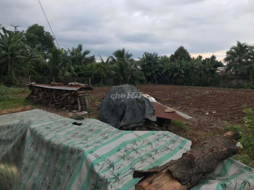 BÁN ĐẤT CHÍNH CHỦ 1.977 M² TẠI P. BẢO VINH, TP. LONG KHÁNH