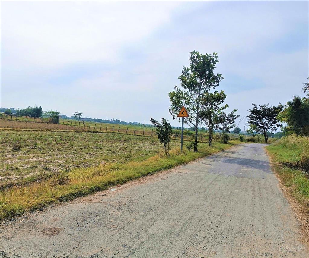 Bán gấp đất 7637m2 có 2420m2 thổ mặt tiền đường nguyễn thị náo, xã trung lập thượng giá 11.9 tỷ tl