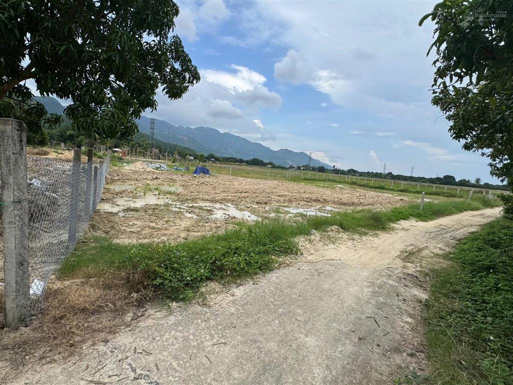 Đất cam tân cam lâm 1 500 đã phê duyệt 0917 227 *** minh tiến