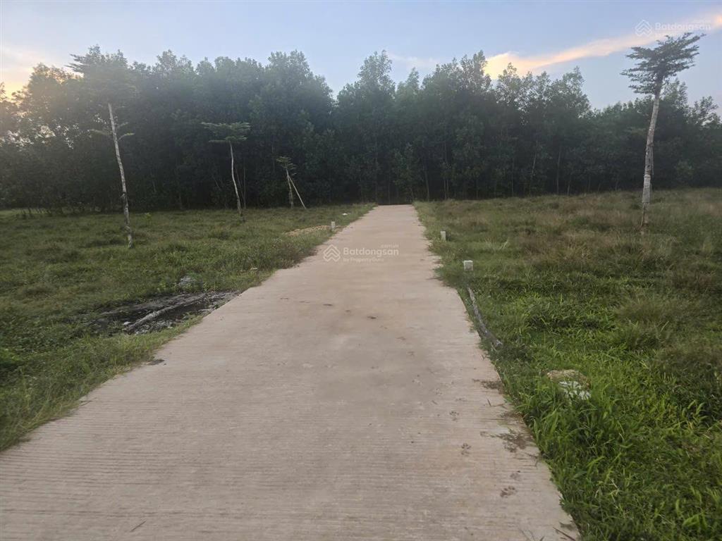 Bán đất full thổ cư 135m2, đường bê tông 4m, tại thọ phong, quảng ngãi giá chỉ 1.110 tỷ