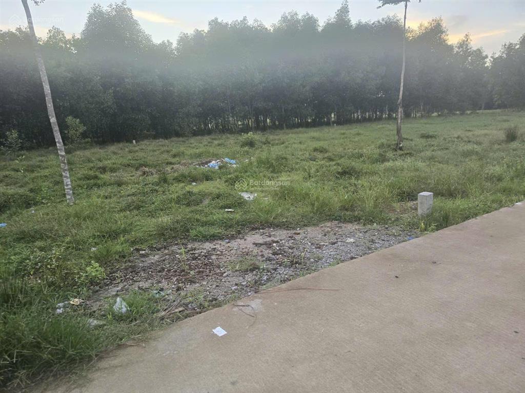 Bán đất full thổ cư 126m2, đường bê tông 4m, tại thọ phong, quảng ngãi giá chỉ 1.110tỷ