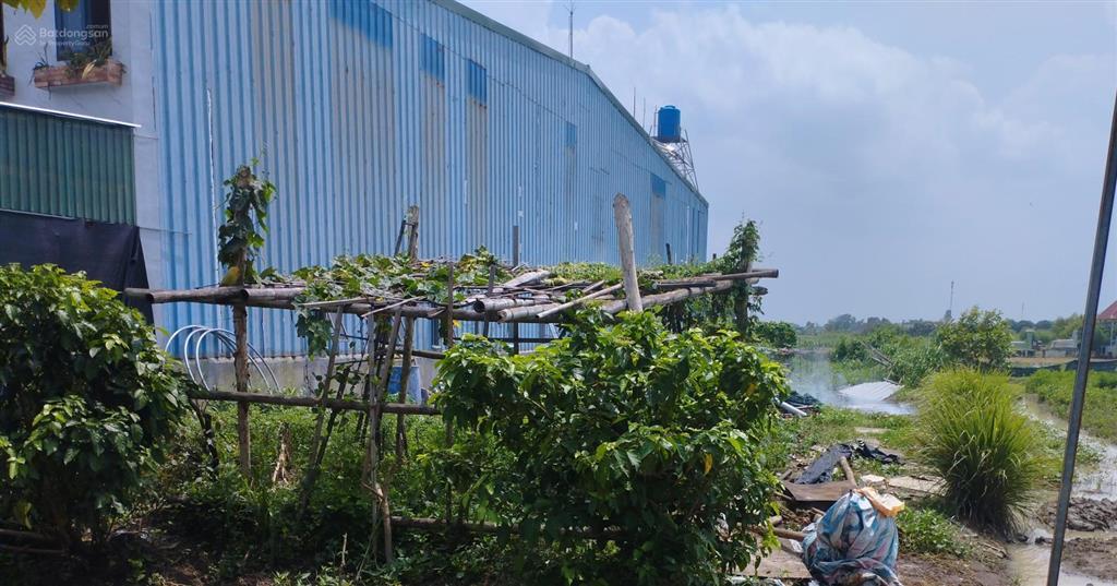 Bán đất tại đt 835, xã mỹ lộc, huyện cần giuộc, 4 tỷ, 400m2