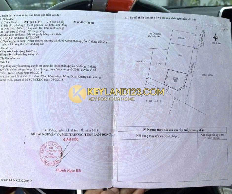 🔥 ĐẤT ĐẸP BẠCH ĐẰNG – ĐÀ LẠT | 200M², HẺM Ô TÔ 4,5M, SỔ RIÊNG