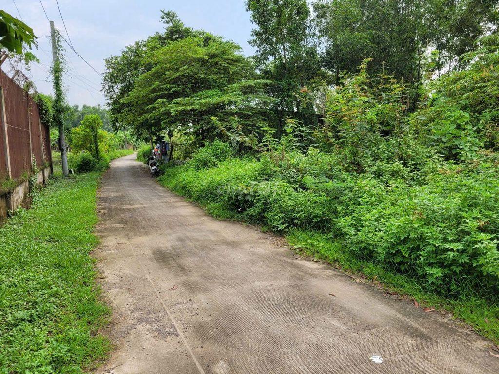 CẦN TIỀN BÁN GẤP