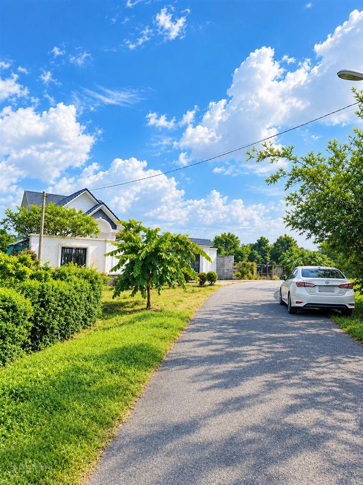 Bán đất vườn thổ cư củ chi 1000m2 mặt tiền nhựa 6m sổ hồng riêng giá chỉ từ 2 tr/m2 mặt tiền