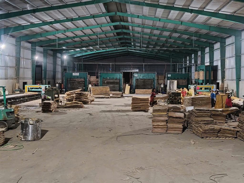 Cơ Hội Vàng: Sở Hữu Nhà Máy Gỗ ÉP 100% Mới Tại Đồng Nai!
