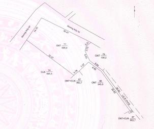 Bán 606,4m2 ont tại xã an hòa, huyện châu thành, tỉnh an giang