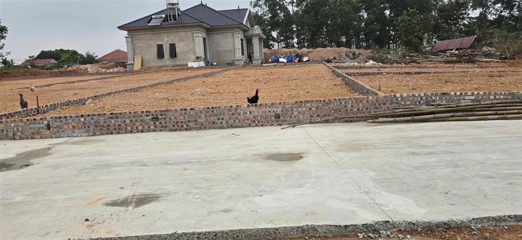 Bán đất lương hội trung giã | 200m 1.4 tỷ | ô tô tránh giá tốt khu vực