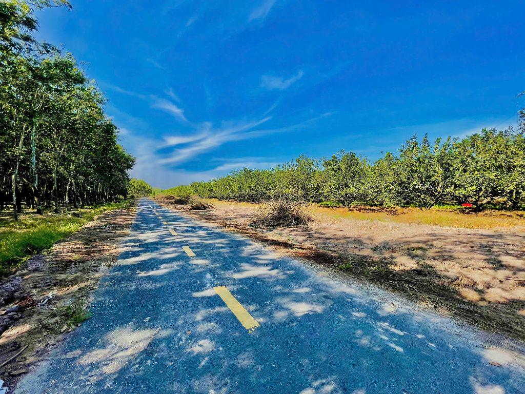 Bán đất 500m2 tại Trừ Văn Thố, 870 triệu, mặt tiền 10m, ngõ 10m