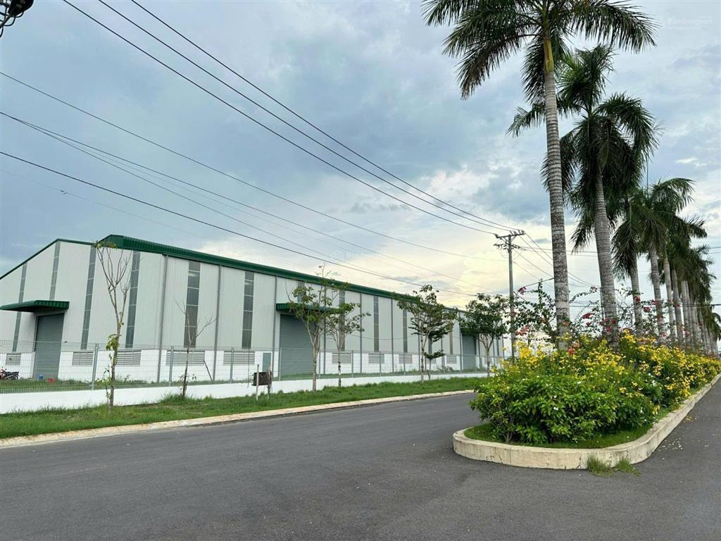Bán đất kcn phú an thạnh 20.000m², sổ hồng riêng, đất 50 năm, giá 155 usd/m²