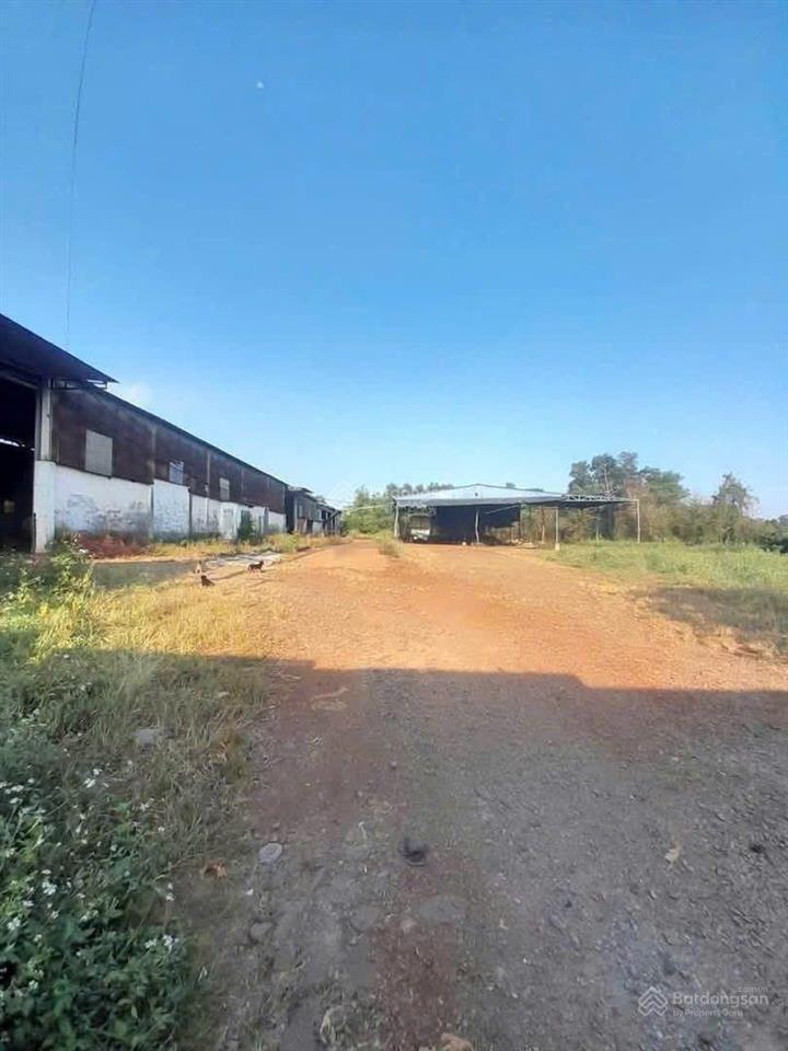 Bán xưởng quy hoạch (skc) thuộc tân an, đồng nai diện tích 14.000m2, diện tích xưởng 2000m
