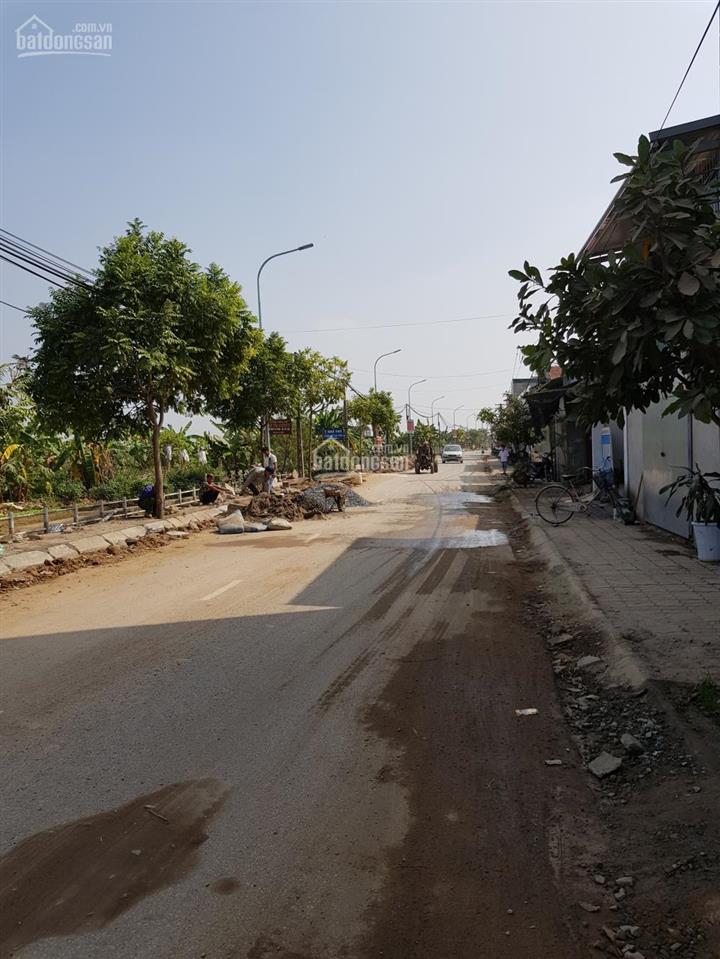 Gia đình cần bán 60m2 đất dịch vụ (đất ở) lại yên, huyện hoài đức, giá rẻ đt 0904 126 ***